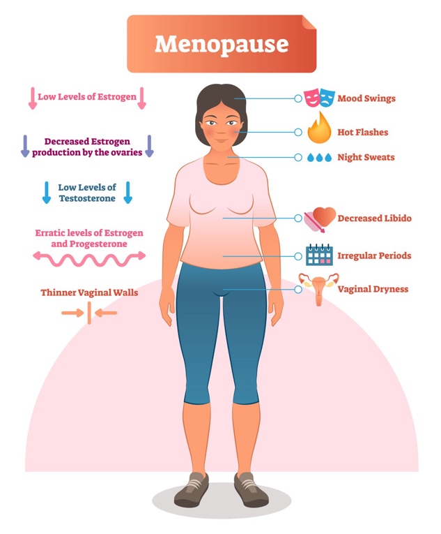 A diagram of a person's menopause