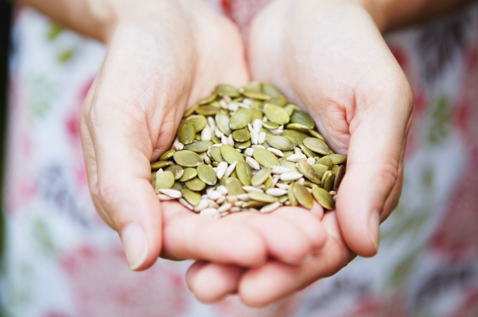 A close-up of a handful of seeds